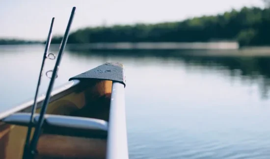 Вибір вудилища для лову з поплавцем