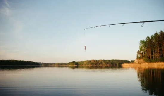 Різновиди рибальських волосіней і як їх вибрати