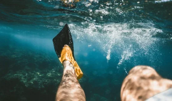 Як риба у воді: вибираємо ласти