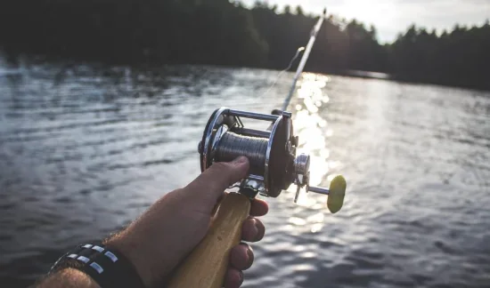 Як вибрати ехолот для риболовлі